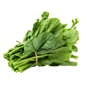 Malabar Spinach