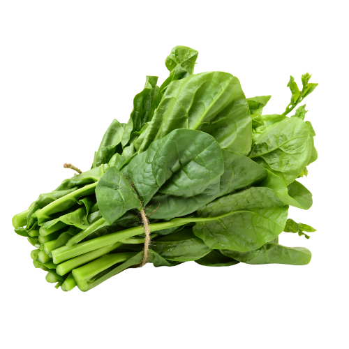 Malabar Spinach