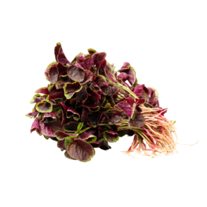 Amaranth Greens