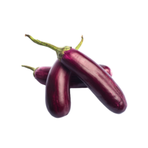 Brinjal