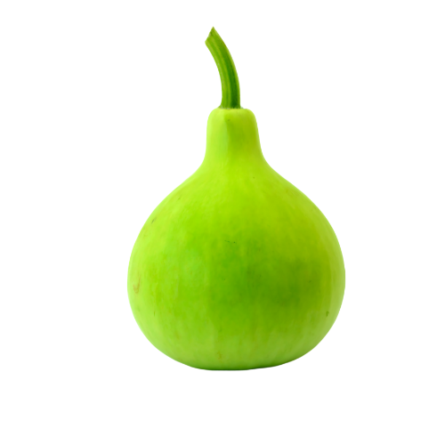 Bottle Gourd