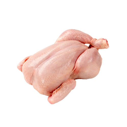 Chicken Broiler
